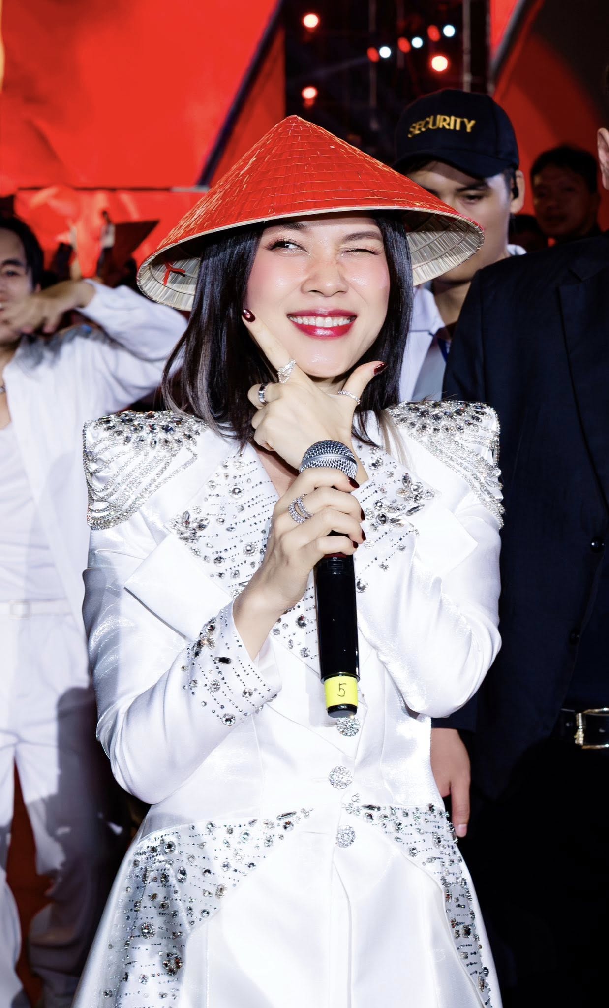 Ca sĩ đỉnh nhất Việt Nam- Ảnh 4.