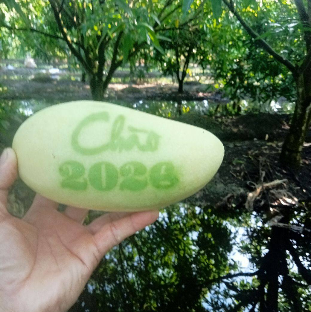 Trái cây tạo hình Tết Bính Ngọ: Nhà vườn miền Tây chăm chút từng sản phẩm- Ảnh 2. Trái cây tạo hình Tết Bính Ngọ: Nhà vườn miền Tây chăm chút từng sản phẩm- Ảnh 2.