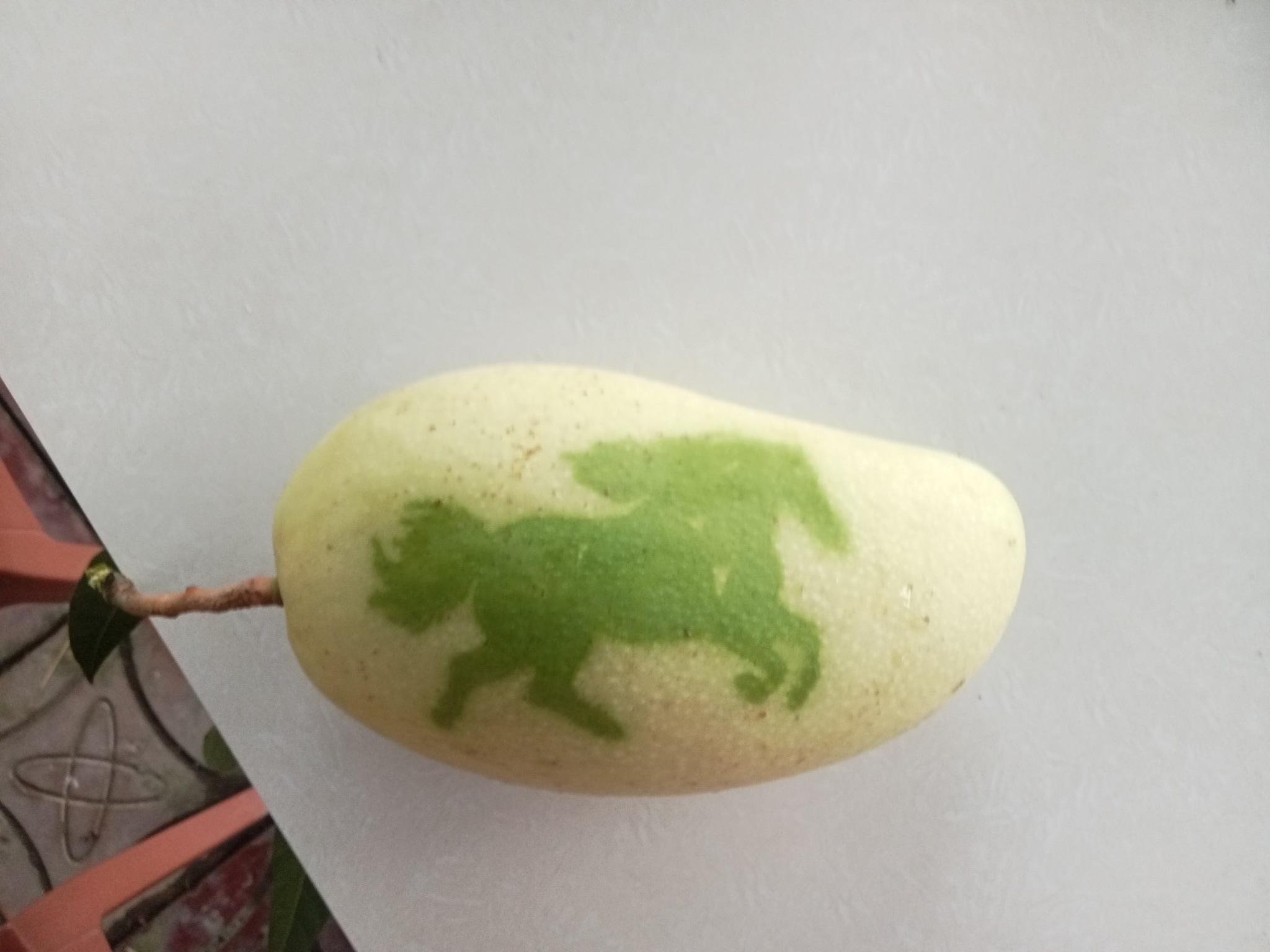 Trái cây tạo hình Tết Bính Ngọ: Nhà vườn miền Tây chăm chút từng sản phẩm- Ảnh 4. Trái cây tạo hình Tết Bính Ngọ: Nhà vườn miền Tây chăm chút từng sản phẩm- Ảnh 4.