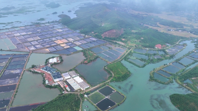 Trung tâm ương giống, nuôi thủy sản công nghiệp và nhà máy điện mặt trời Đầm Hà. Ảnh: BIM Group