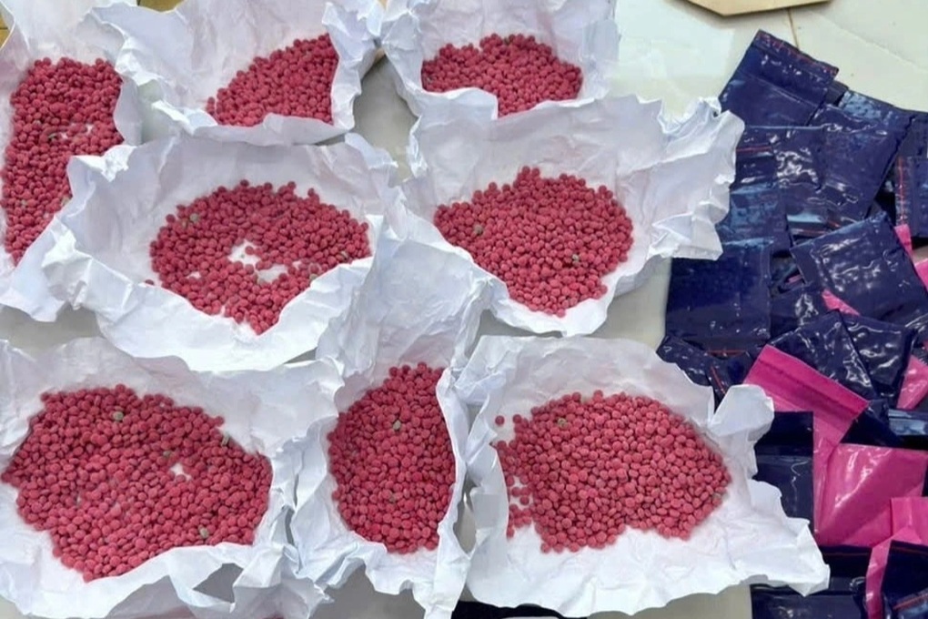 Công an sử dụng 4 chó nghiệp vụ cùng 2 xe múc xới đất tìm ma túy - 3