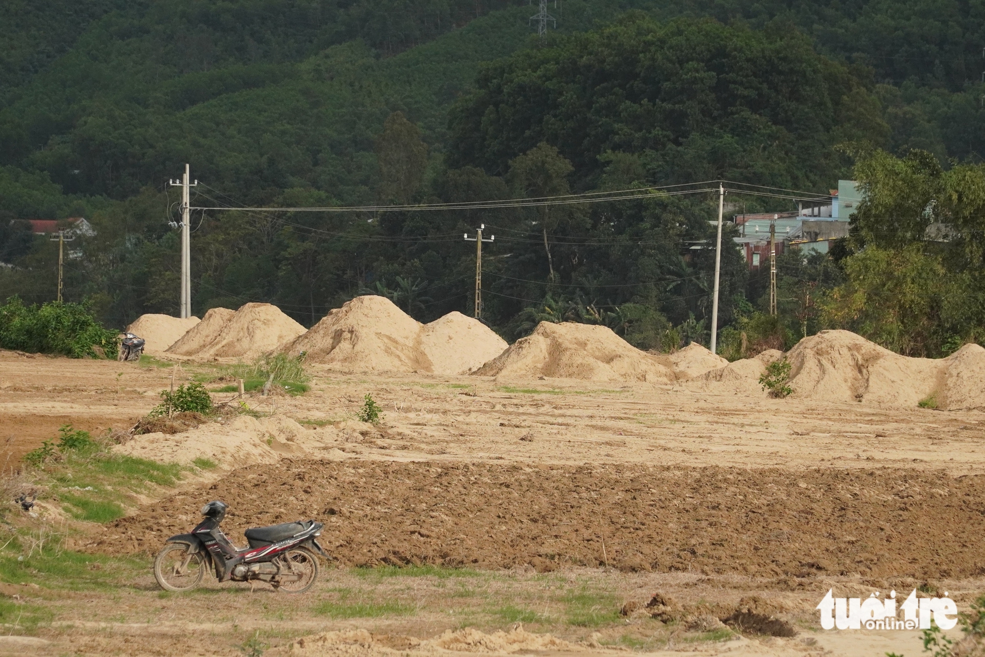 Ruộng đồng thành 'mỏ cát' sau lũ, nông dân mang xô đi gom về để dành - Ảnh 11.