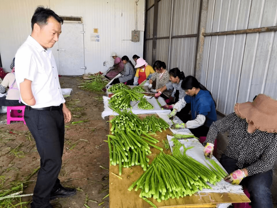 Phát hiện người đàn ông sinh năm 1984 bán rau kiếm hơn 37 tỷ đồng/năm- Ảnh 3.