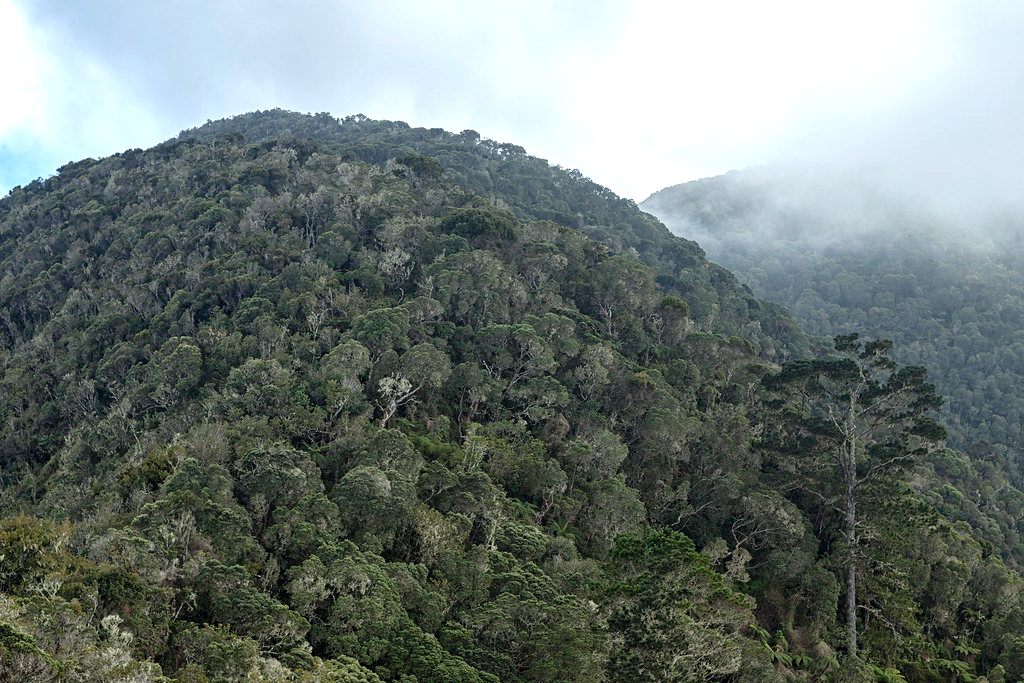 Một kỳ tích điện cao thế xuất hiện ở Cuba- Ảnh 2.