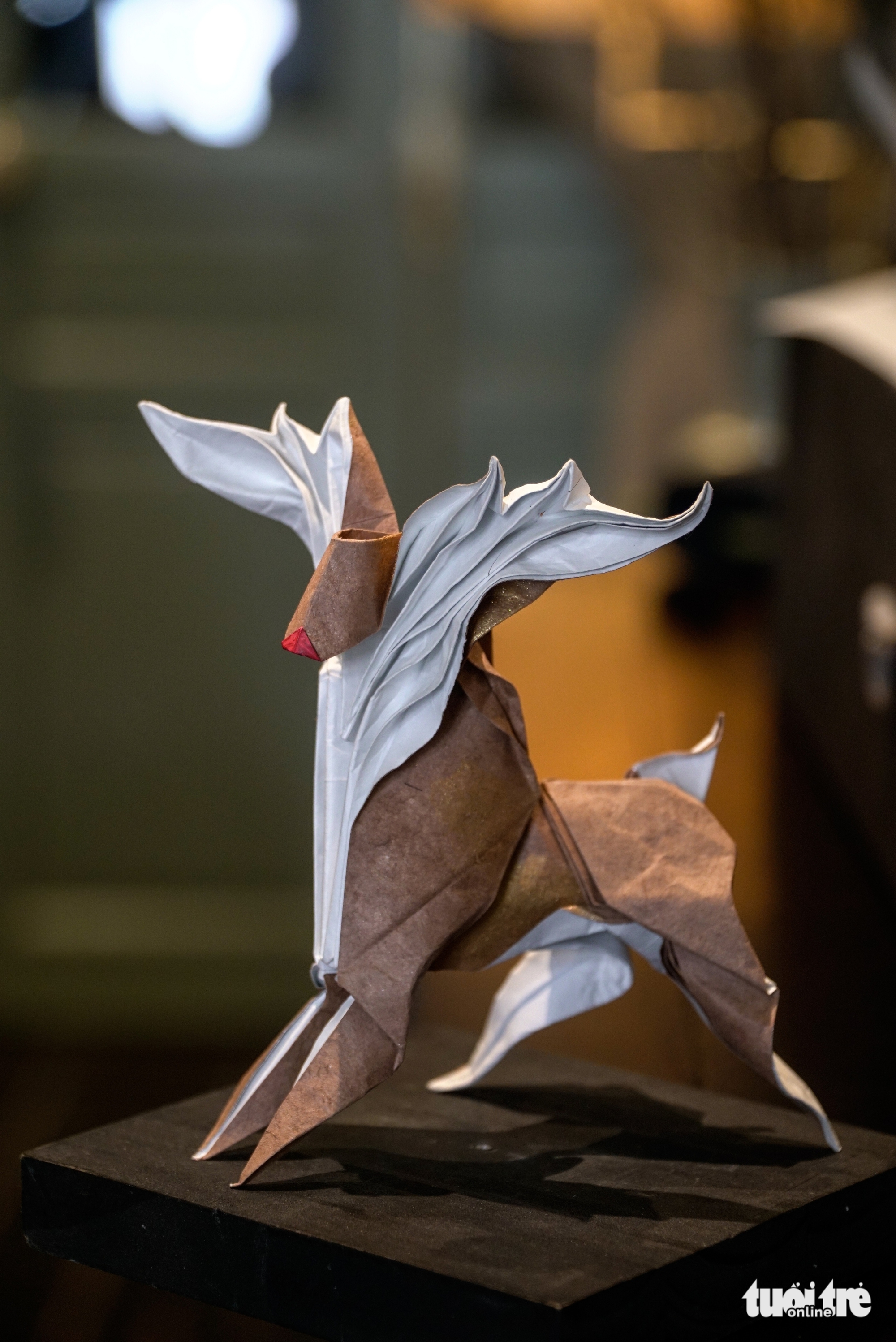 giáng sinh - Ảnh 5.