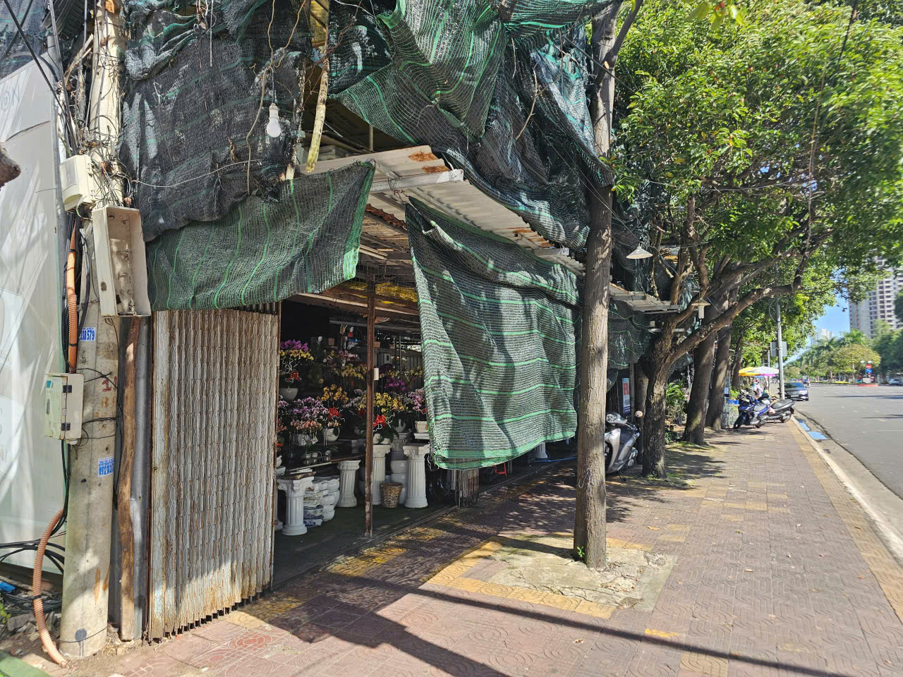 TP.HCM: Người dân bán cây kiểng trên khu đất công gần 2.000 mét vuông, ai quản lý? - Ảnh 3.