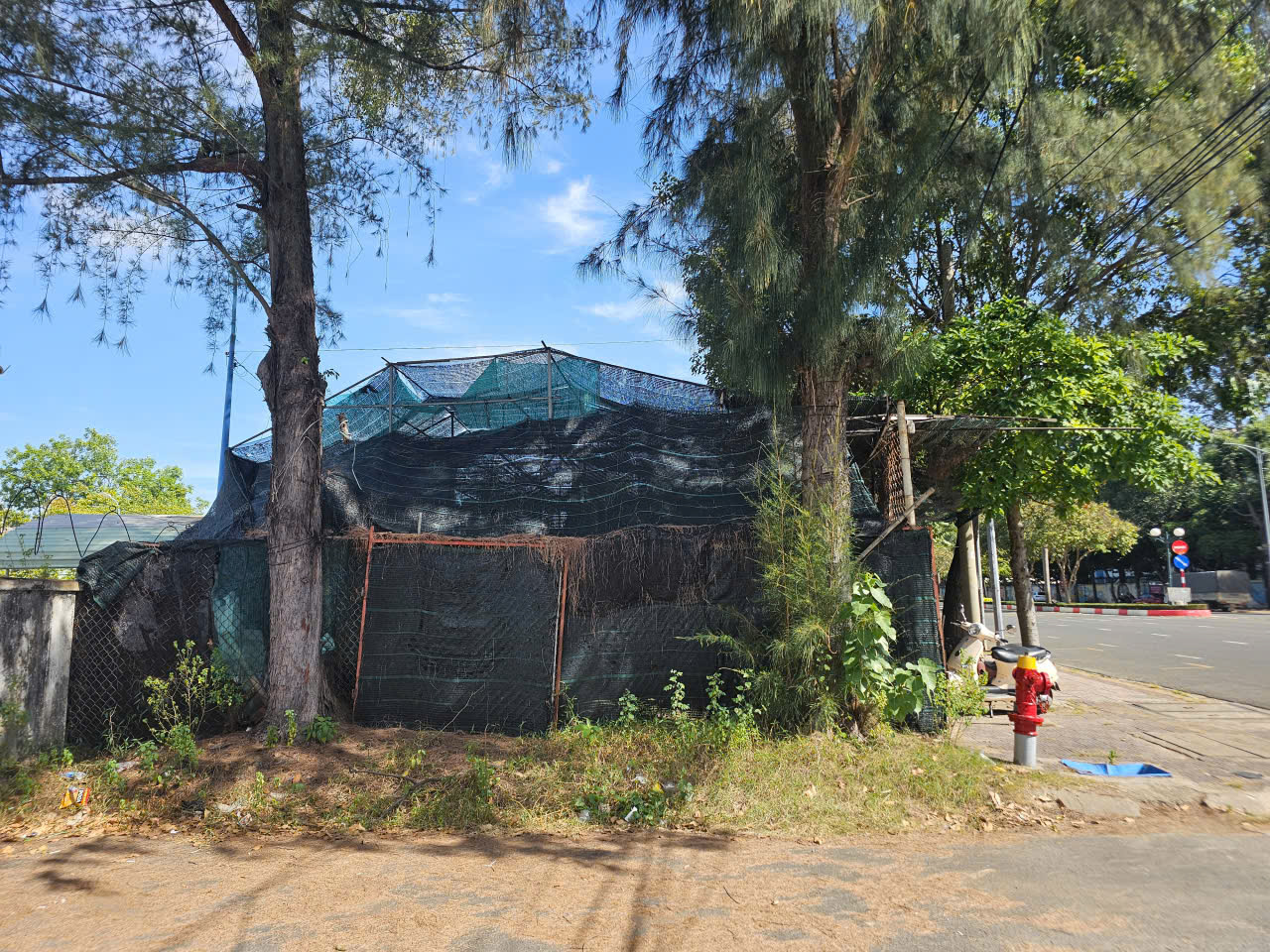 TP.HCM: Người dân bán cây kiểng trên khu đất công gần 2.000 mét vuông, ai quản lý? - Ảnh 2.