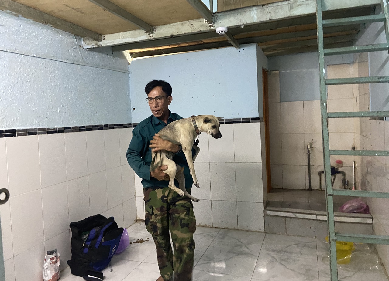 Phía sau bức ảnh người đàn ông lang thang cùng chú chó ở TP.HCM, xin việc hơn 30 công trình đều bị từ chối- Ảnh 4.