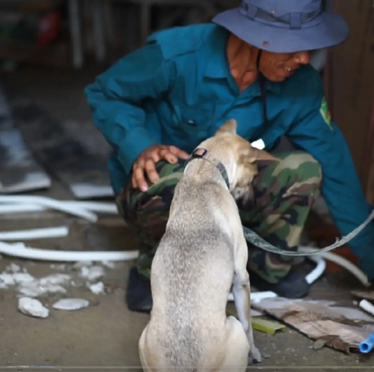 Phía sau bức ảnh người đàn ông lang thang cùng chú chó ở TP.HCM, xin việc hơn 30 công trình đều bị từ chối- Ảnh 6.