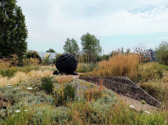 triều cường - Ảnh 4.