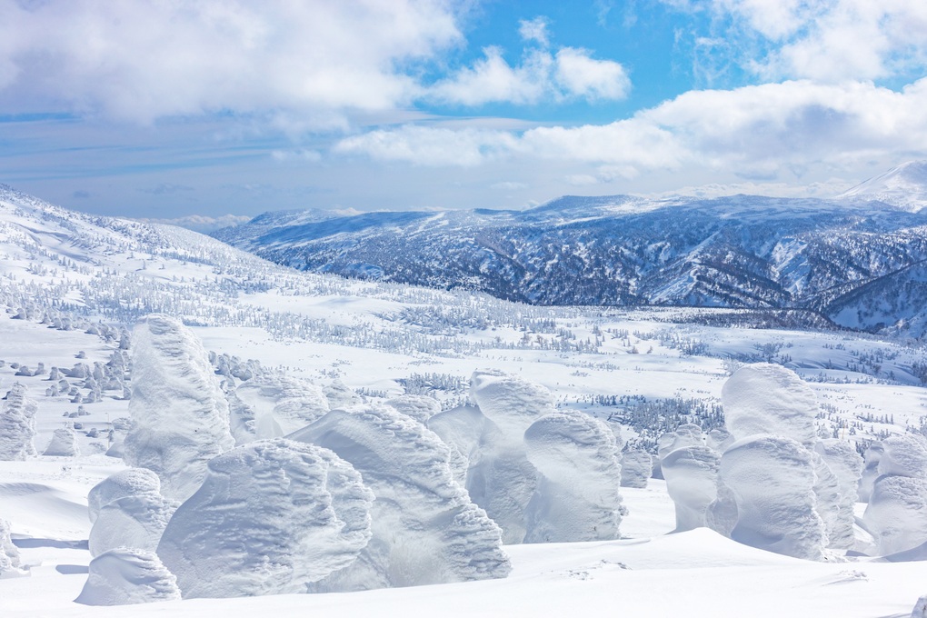 Khách Việt ồ ạt đến Nhật Bản, theo dấu quái vật tuyết để tránh chen chúc - 4