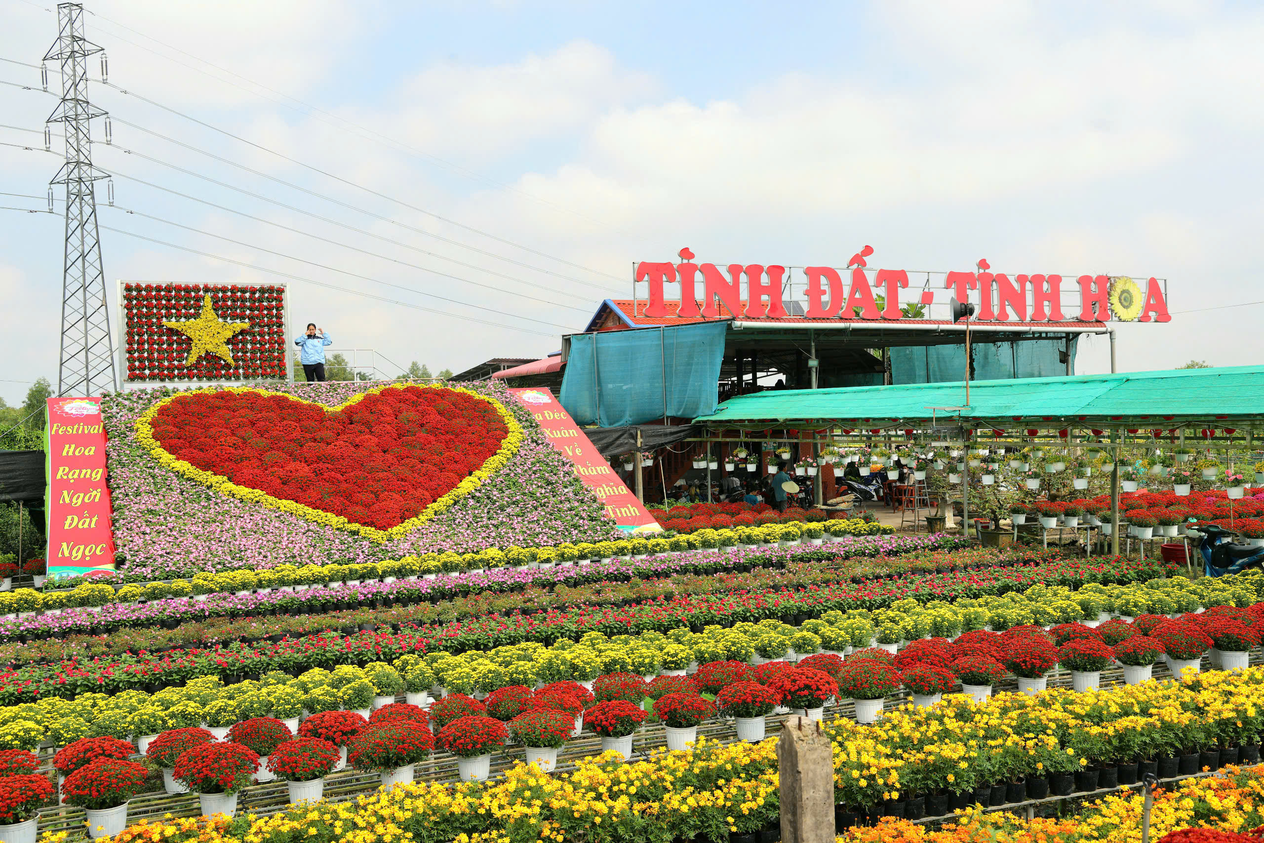 'Trái tim làng hoa' gây sốt ở Sa Đéc- Ảnh 2.