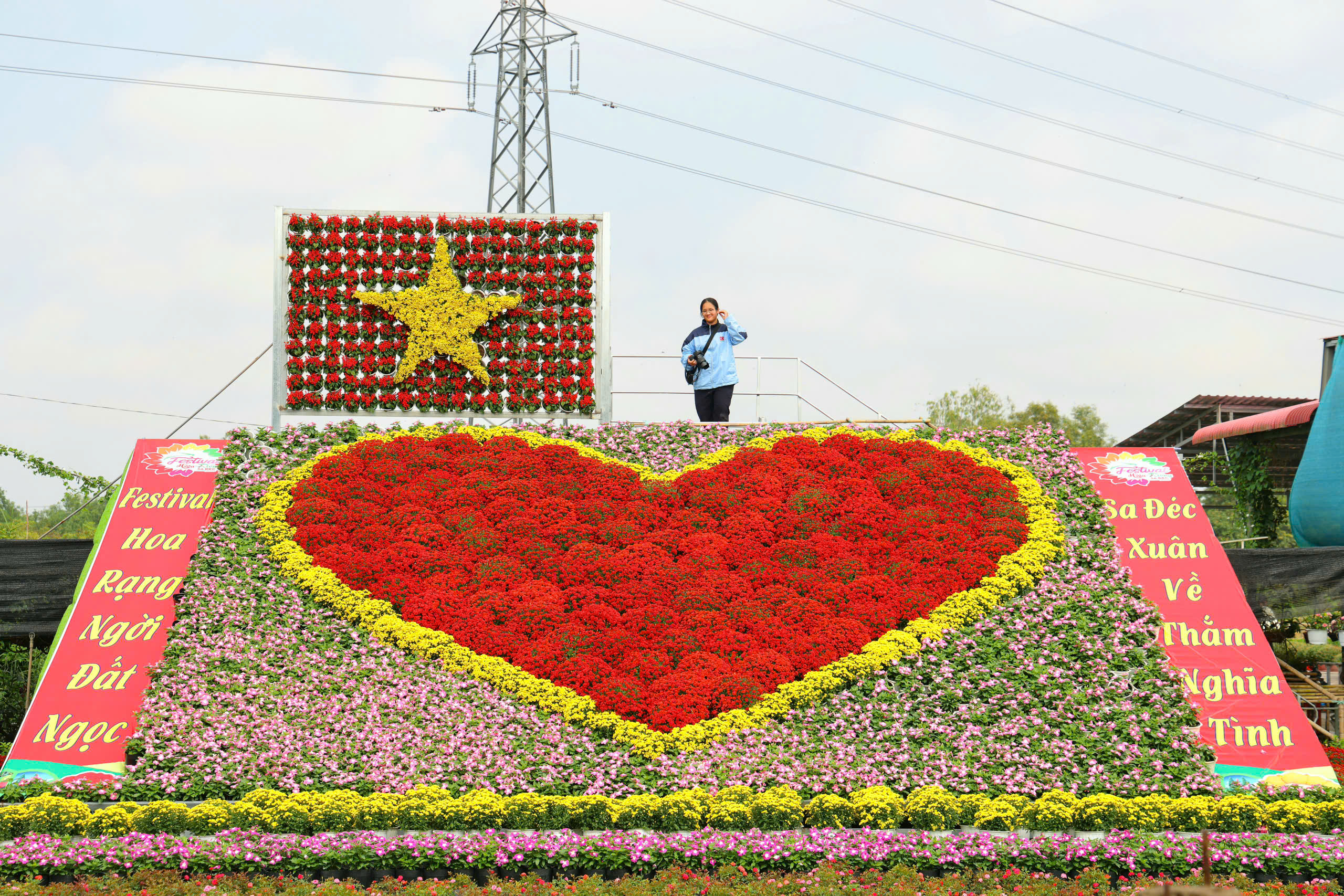 'Trái tim làng hoa' gây sốt ở Sa Đéc- Ảnh 3.