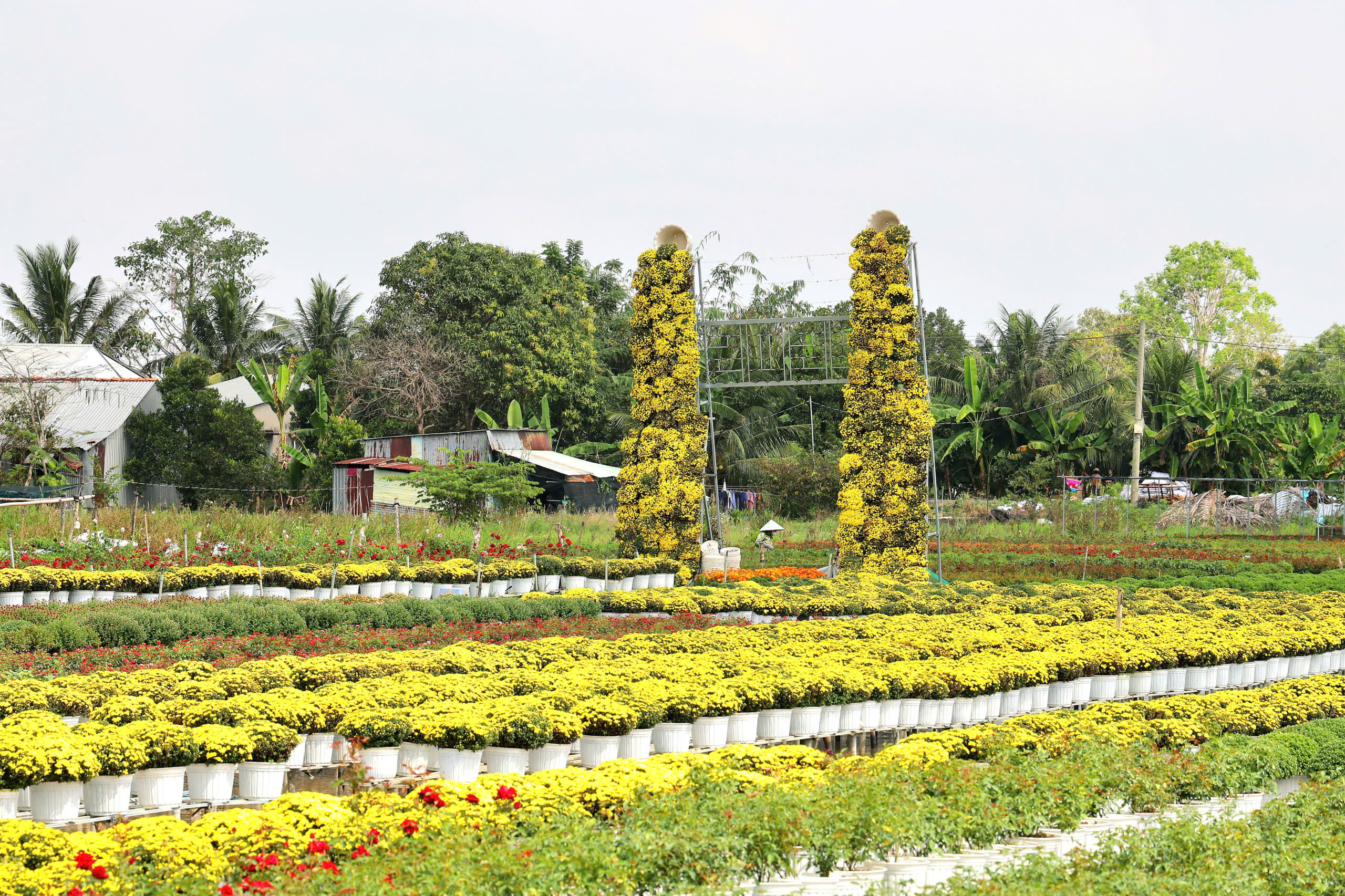 'Trái tim làng hoa' gây sốt ở Sa Đéc- Ảnh 6.