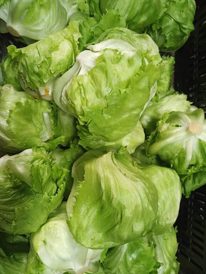 Top 5 loại rau củ an toàn bậc nhất trong mùa lạnh- Ảnh 3.