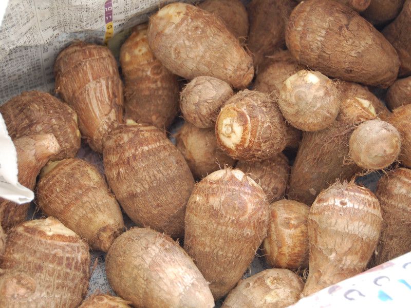 Top 5 loại rau củ an toàn bậc nhất trong mùa lạnh- Ảnh 5.