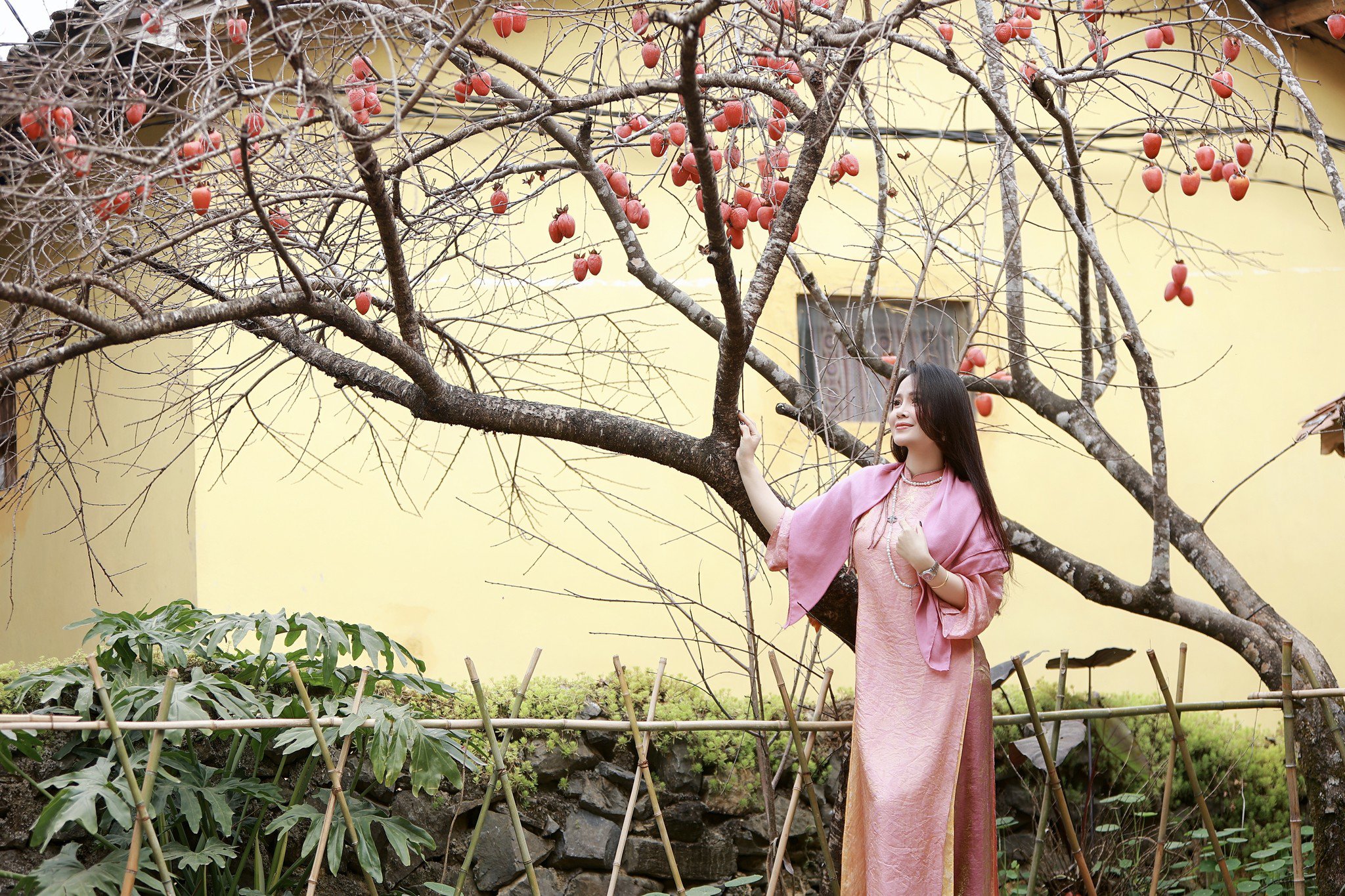 Ngắm vẻ đẹp Lô Lô Chải - “Làng du lịch tốt nhất thế giới” nơi địa đầu Tổ quốc - 4