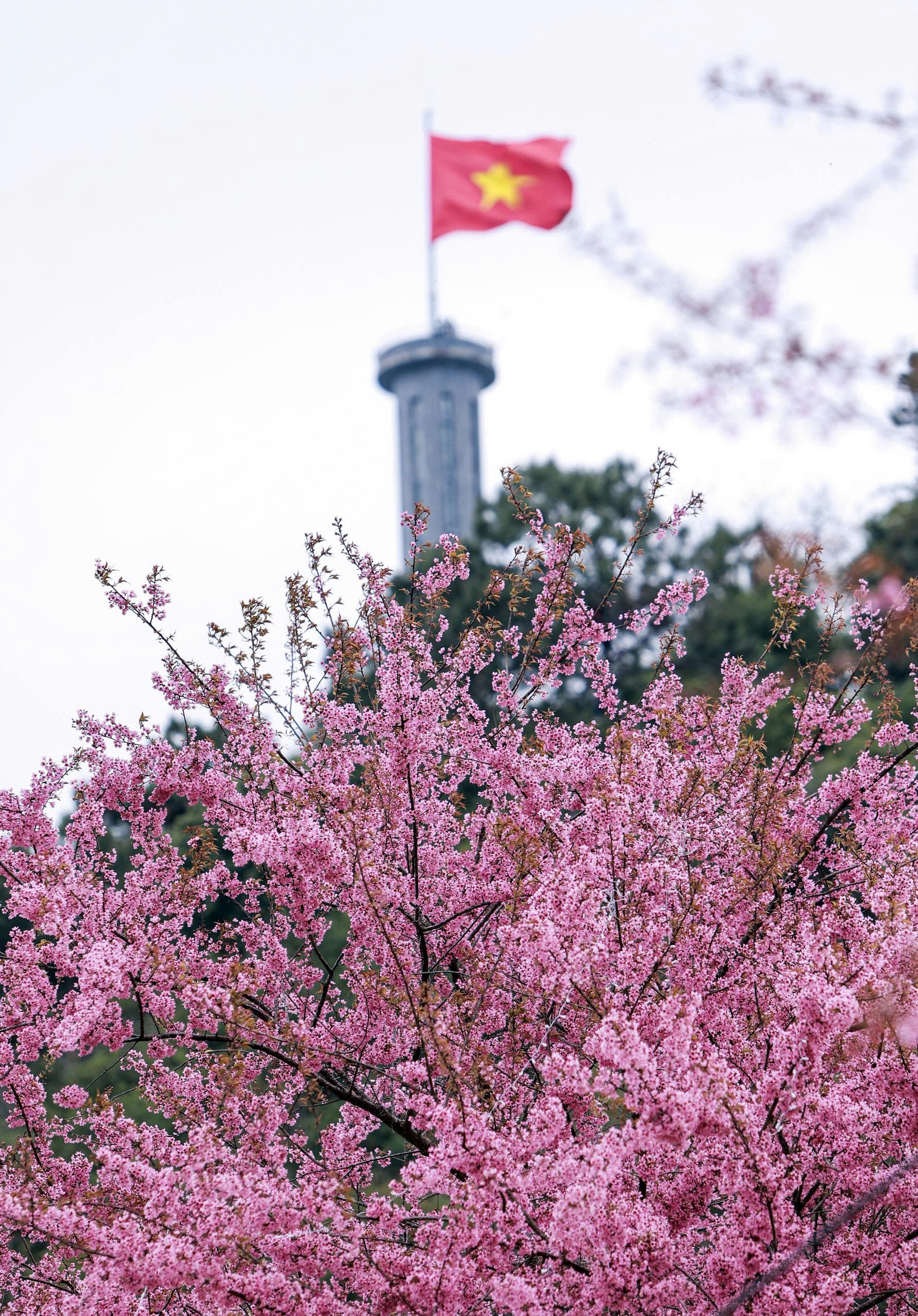 Ngắm vẻ đẹp Lô Lô Chải - “Làng du lịch tốt nhất thế giới” nơi địa đầu Tổ quốc - 10