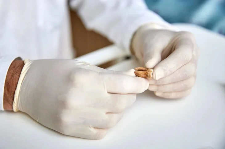 khoa học - Ảnh 3.