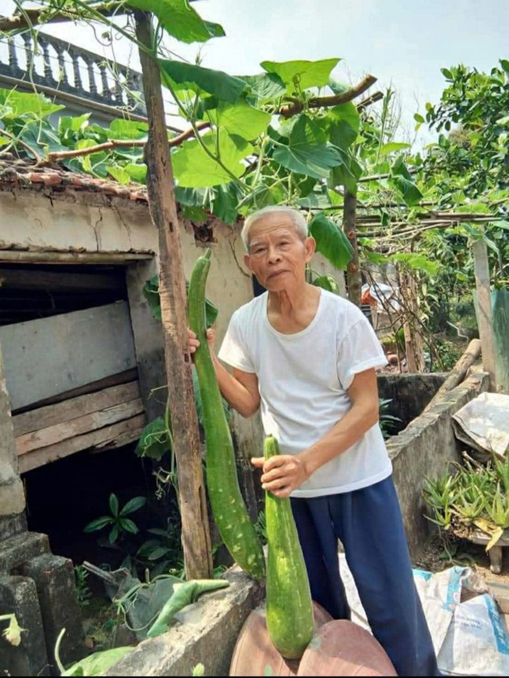 Chàng trai quê lúa đi bộ hơn 100km lên Hà Nội thi đỗ trường Y 60 năm trước - 3