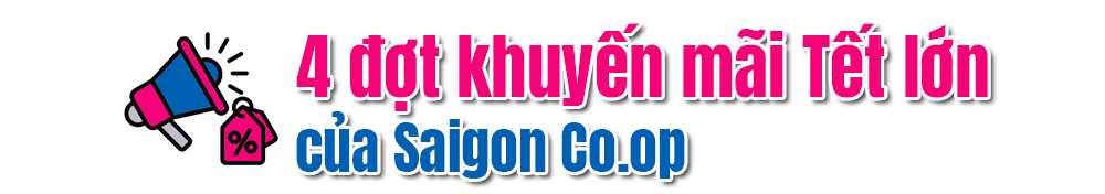 Saigon Co.op đồng hành cùng nông sản sạch mùa Tết - Ảnh 9.