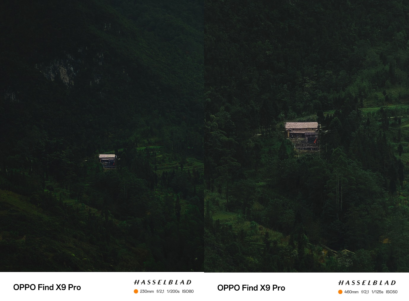 Zoom 120x ổn định, sắc nét trong mọi điều kiện ánh sáng cùng Find X9 Pro - Ảnh 4. Zoom 120x ổn định, sắc nét trong mọi điều kiện ánh sáng cùng Find X9 Pro - Ảnh 4.