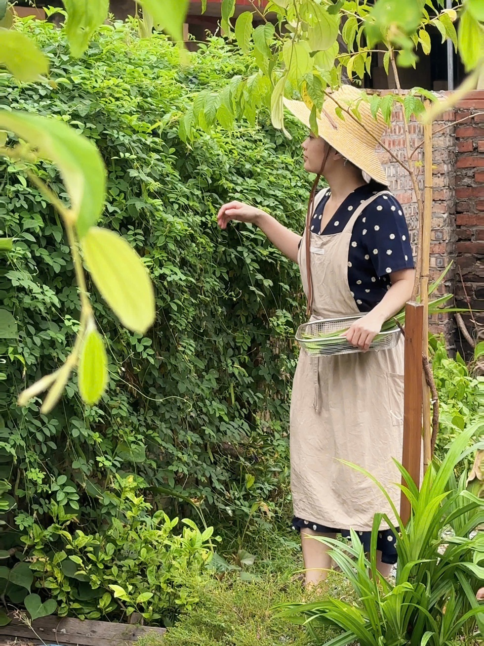 Bỏ giấc mơ mua chung cư Hà Nội, cô gái về quê làm nhà cấp 4 sống thảnh thơi - 3