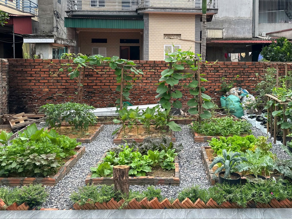 Bỏ giấc mơ mua chung cư Hà Nội, cô gái về quê làm nhà cấp 4 sống thảnh thơi - 4