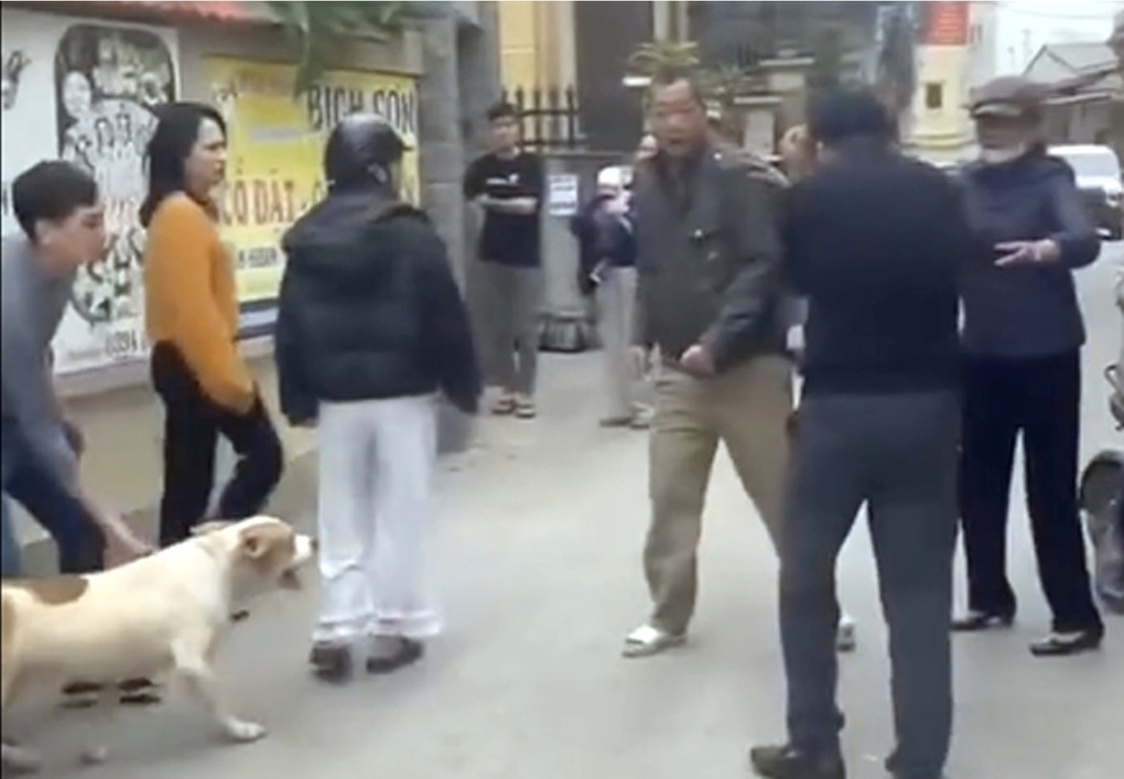 Vụ điều chó dữ vào đám đông: Hành vi của chó, lỗi ở con người - 2