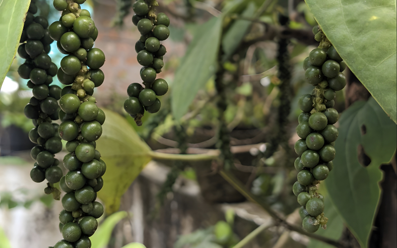 Đừng chỉ dùng theo thói quen, hiểu đúng về 