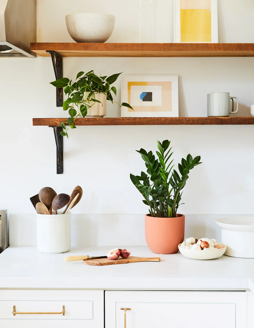 6 loại cây trồng cho phòng bếp, giúp hút mùi, chịu nhiệt, rước tài lộc - 6