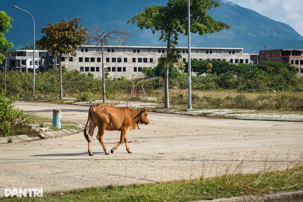 Thanh tra Chính phủ chỉ ra hàng loạt vi phạm tại dự án lớn ở Đà Nẵng - 3