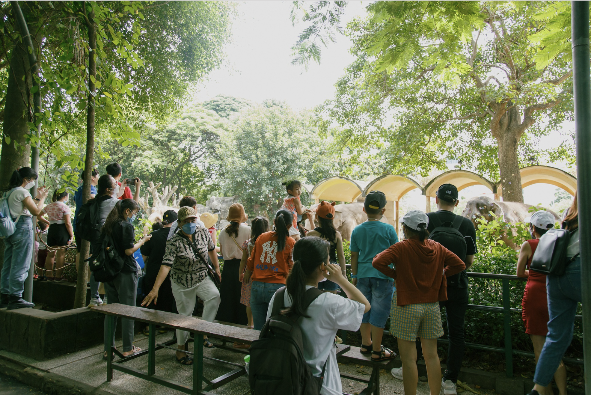 Cuối năm, Thảo Cầm Viên tung 