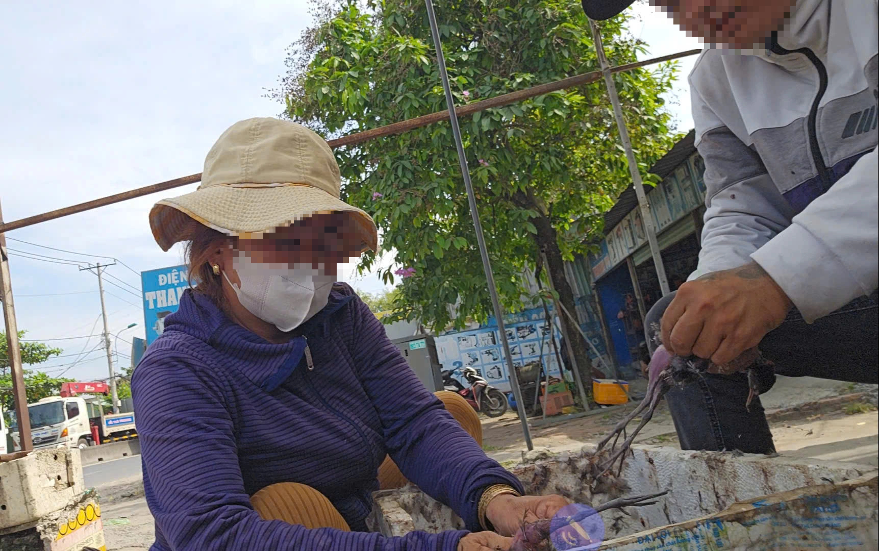 Buôn bán chim trời, thú rừng: 'Chợ đen' công khai thách thức pháp luật - Ảnh 6.