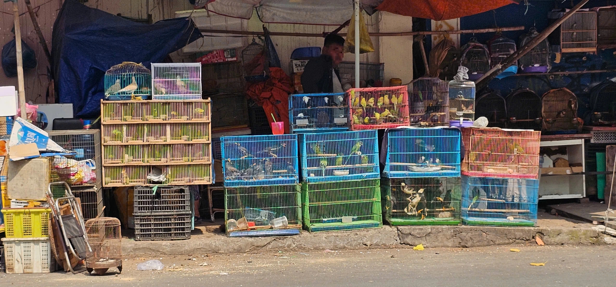 Buôn bán chim trời, thú rừng: 'Chợ đen' công khai thách thức pháp luật - Ảnh 11.