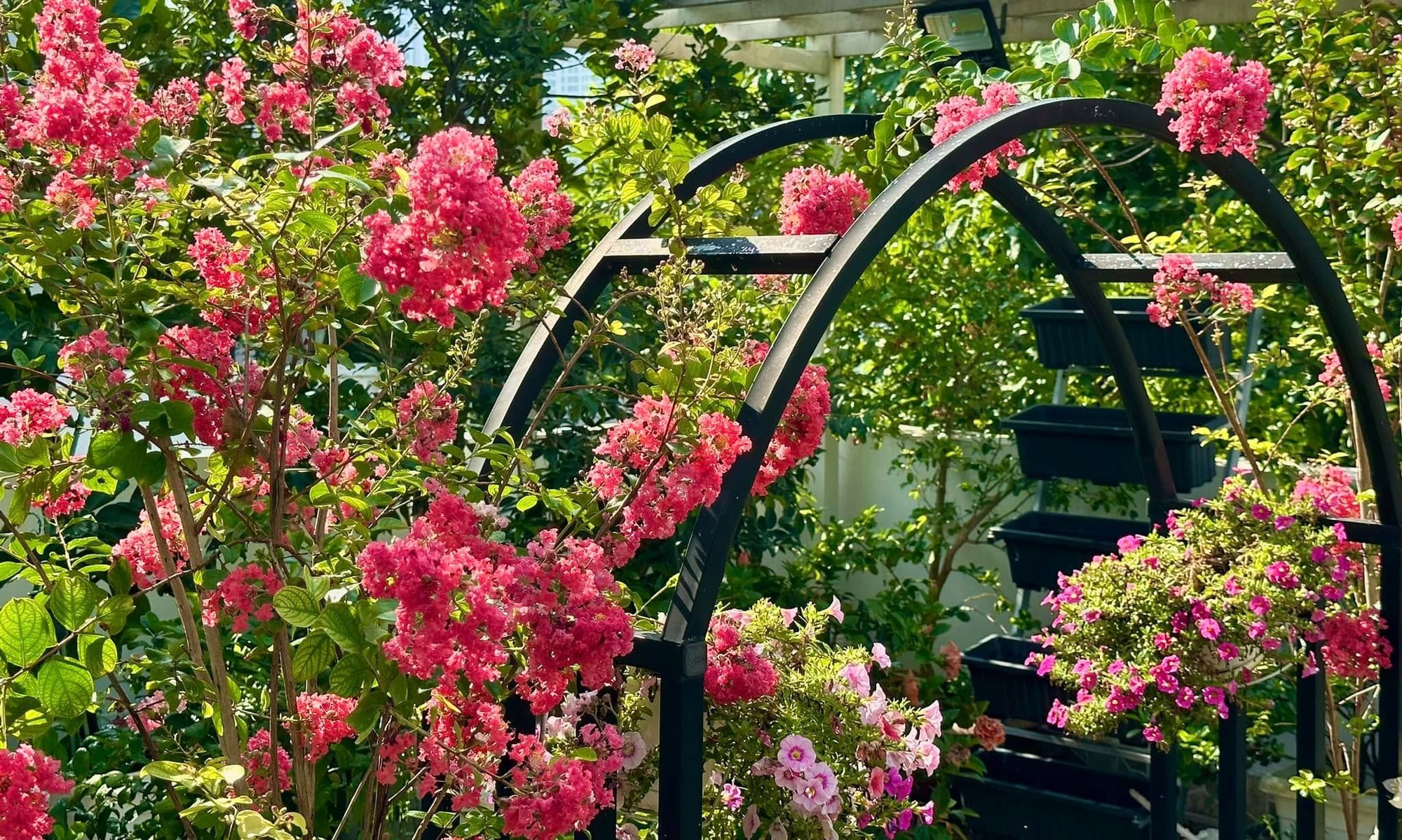 Thứ quý giá trong biệt thự 21 tỷ của MC Quyền Linh- Ảnh 6.