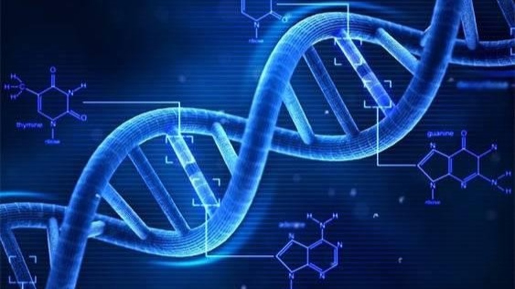 5 “dấu ấn” di truyền là nền tảng chung của nhiều rối loạn tâm thần - 2