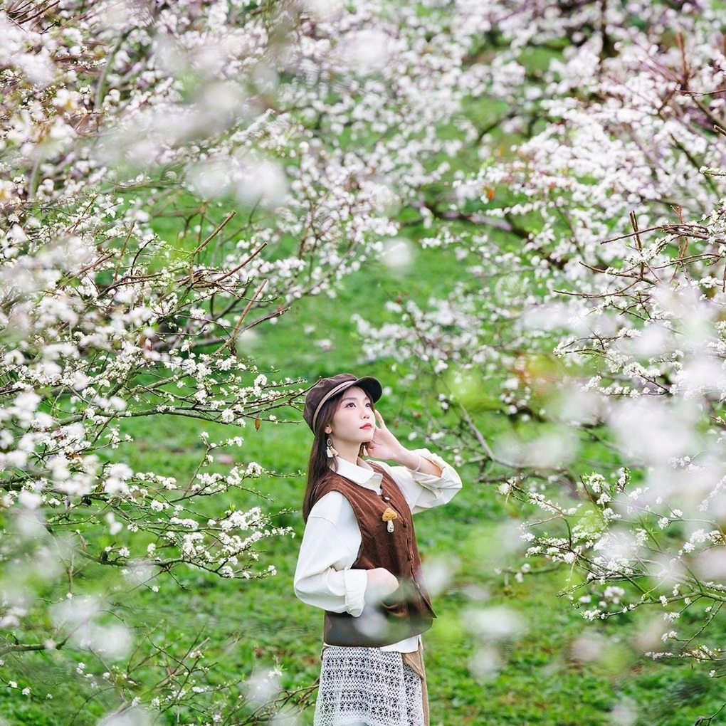 Nghỉ Tết Dương 4 ngày: Hà Giang, Sa Pa đông đúc, khách đỏ mắt tìm phòng - 4