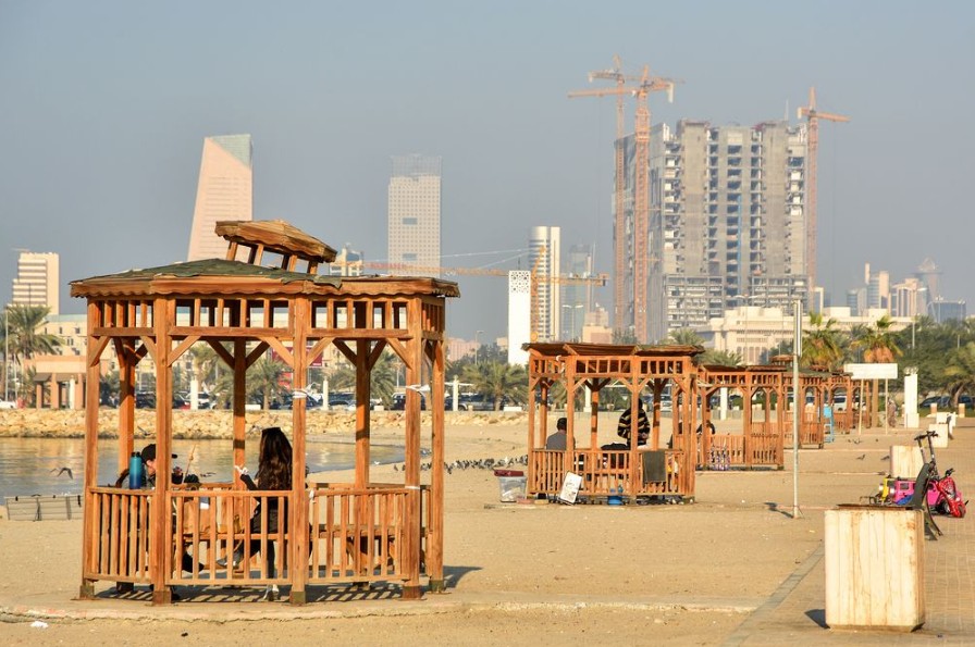 Thành phố nóng nhất thế giới: Cá bị luộc chín, chim rơi xuống đất mà con người vẫn bám trụ bằng cách này- Ảnh 4.