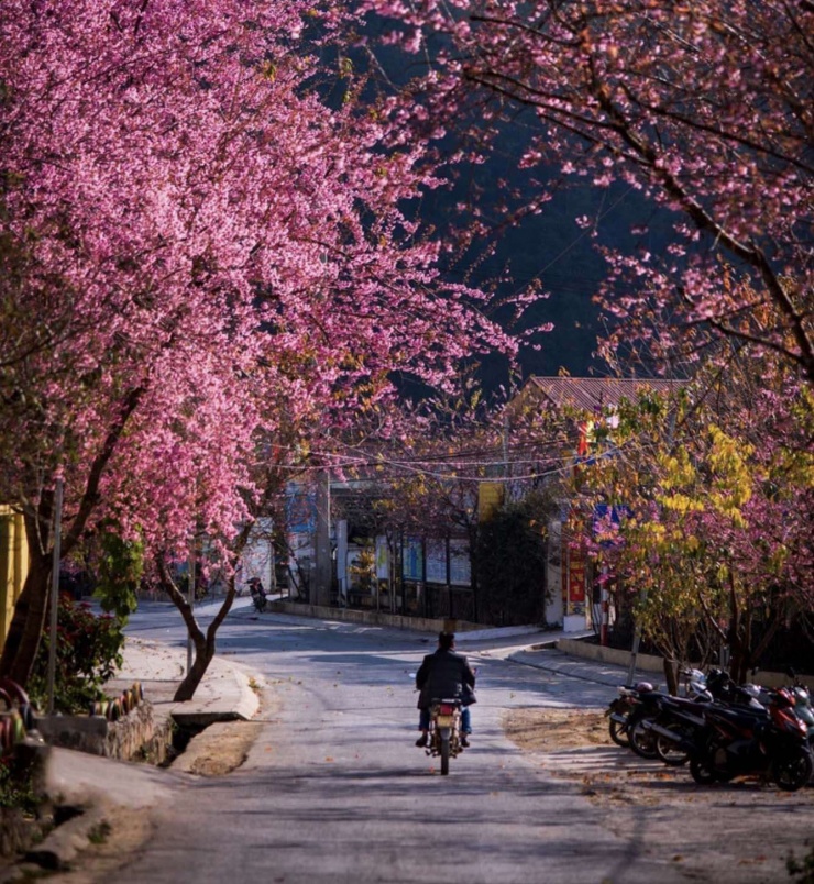 Con đường ở thị trấn Đồng Văn (cũ), xã Má Lé. (Ảnh: Nguyễn Sỹ Đức)