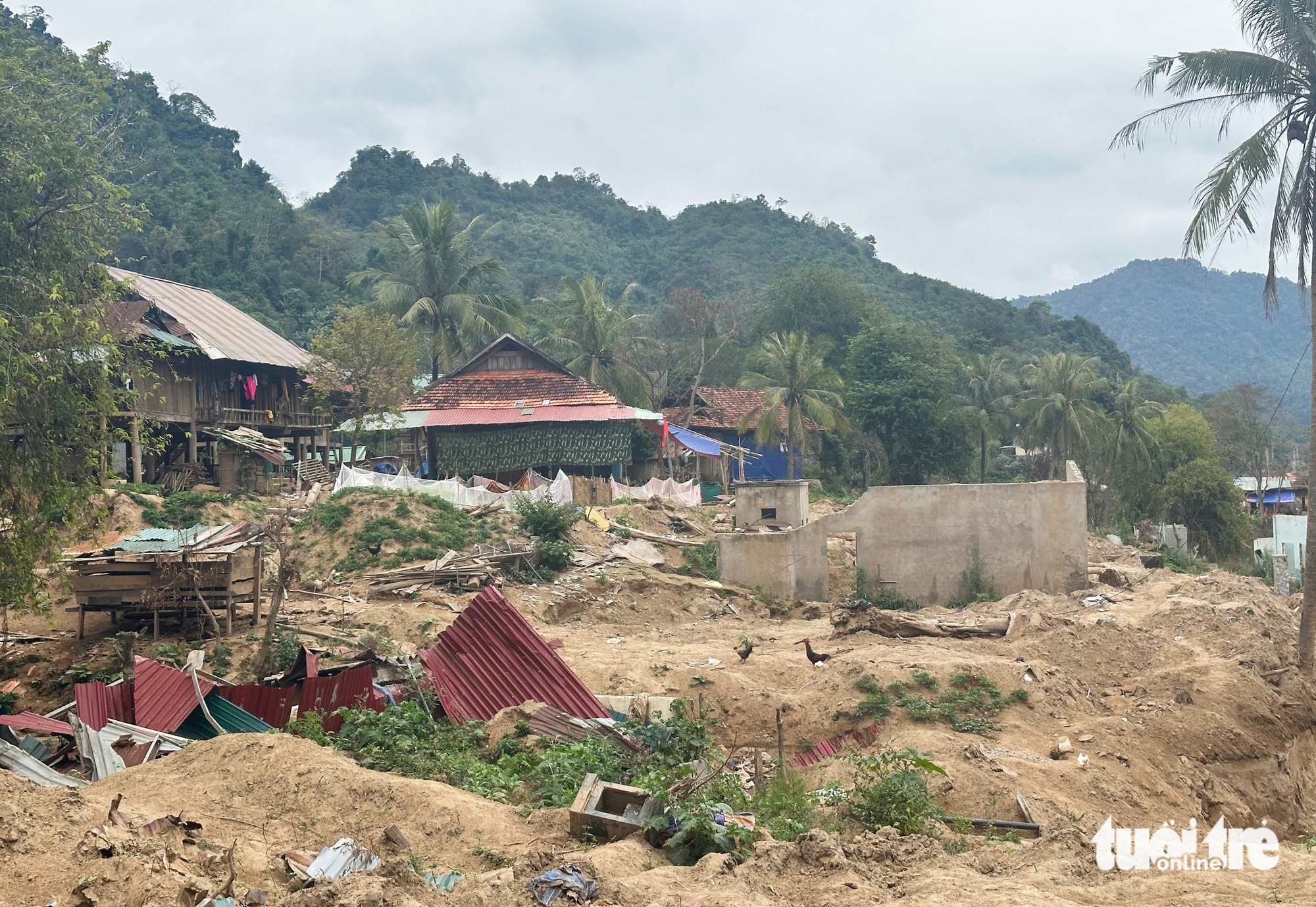 greenfeed - Ảnh 4.