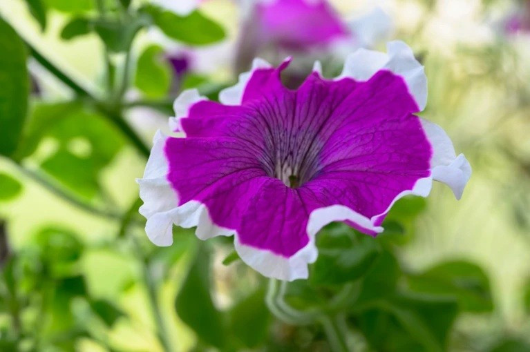 Những ý tưởng 'điên rồ' thay đổi thế giới- Ảnh 5.