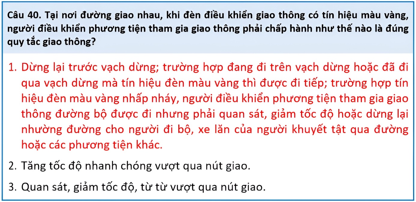 sát hạch - Ảnh 6.