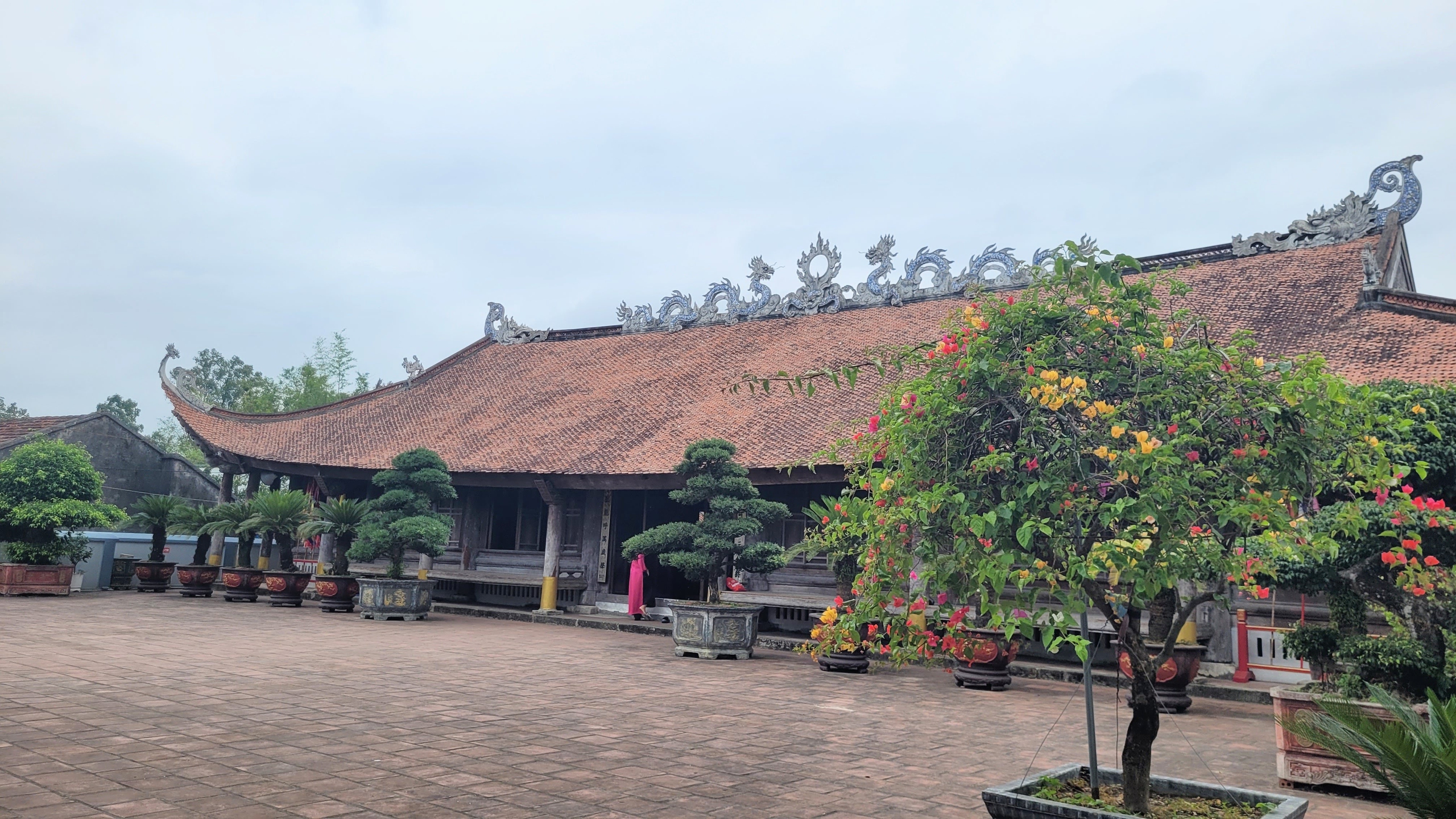 Bài dự thi cuộc thi viết 