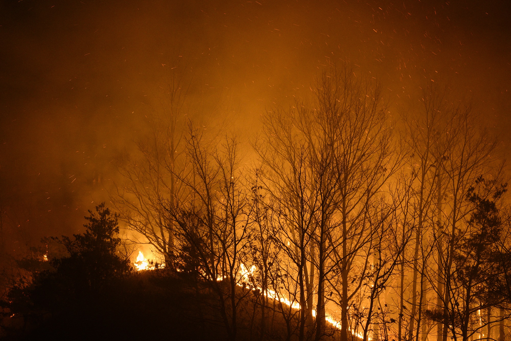 Những trận thiên tai, cháy gây chết chóc ở châu Á năm 2025 - Ảnh 12.