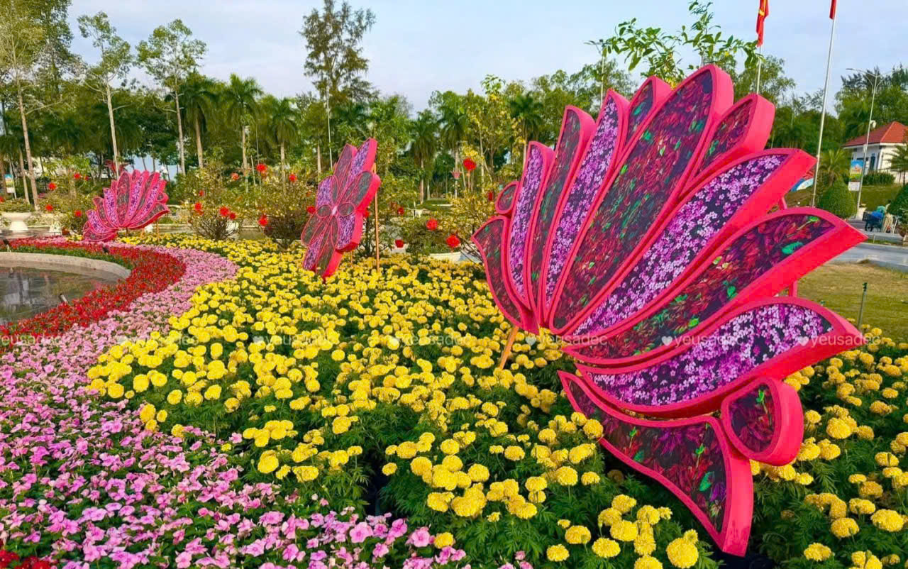 Kỷ lục Bản đồ Việt Nam từ 1 . 000 Giống hoa kiểng tại Festival Sa Đéc lần 2 - Ảnh 4. Kỷ lục Bản đồ Việt Nam từ 1 . 000 Giống hoa kiểng tại Festival Sa Đéc lần 2 - Ảnh 4.