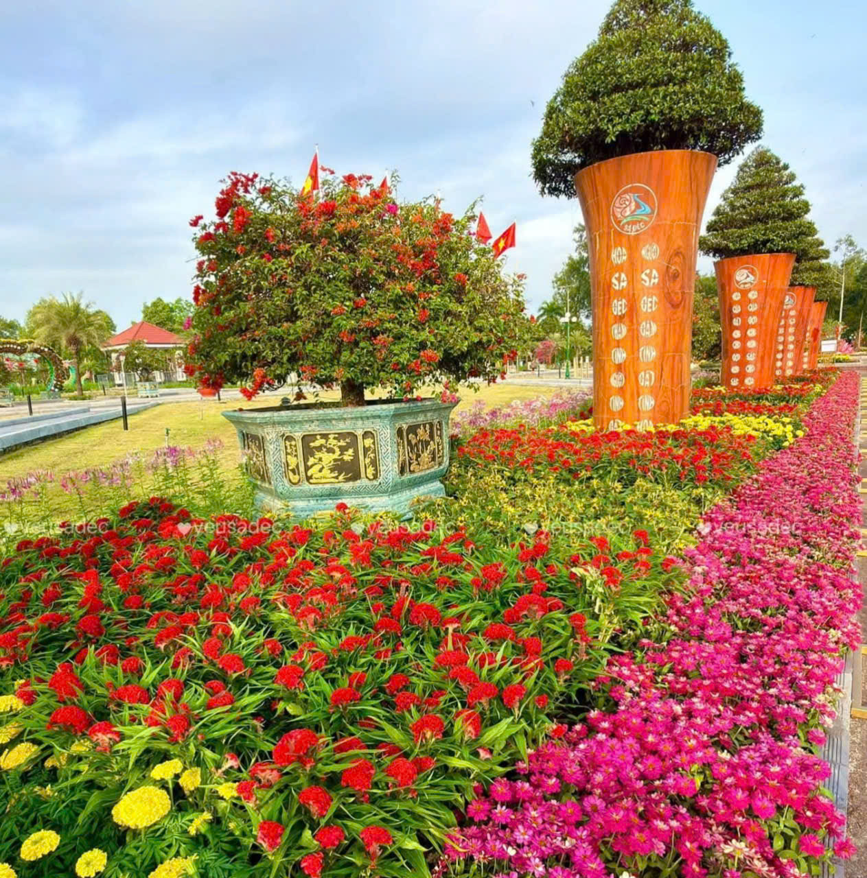 Kỷ lục Bản đồ Việt Nam từ 1 . 000 Giống hoa kiểng tại Festival Sa Đéc lần 2 - Ảnh 5. Kỷ lục Bản đồ Việt Nam từ 1 . 000 Giống hoa kiểng tại Festival Sa Đéc lần 2 - Ảnh 5.