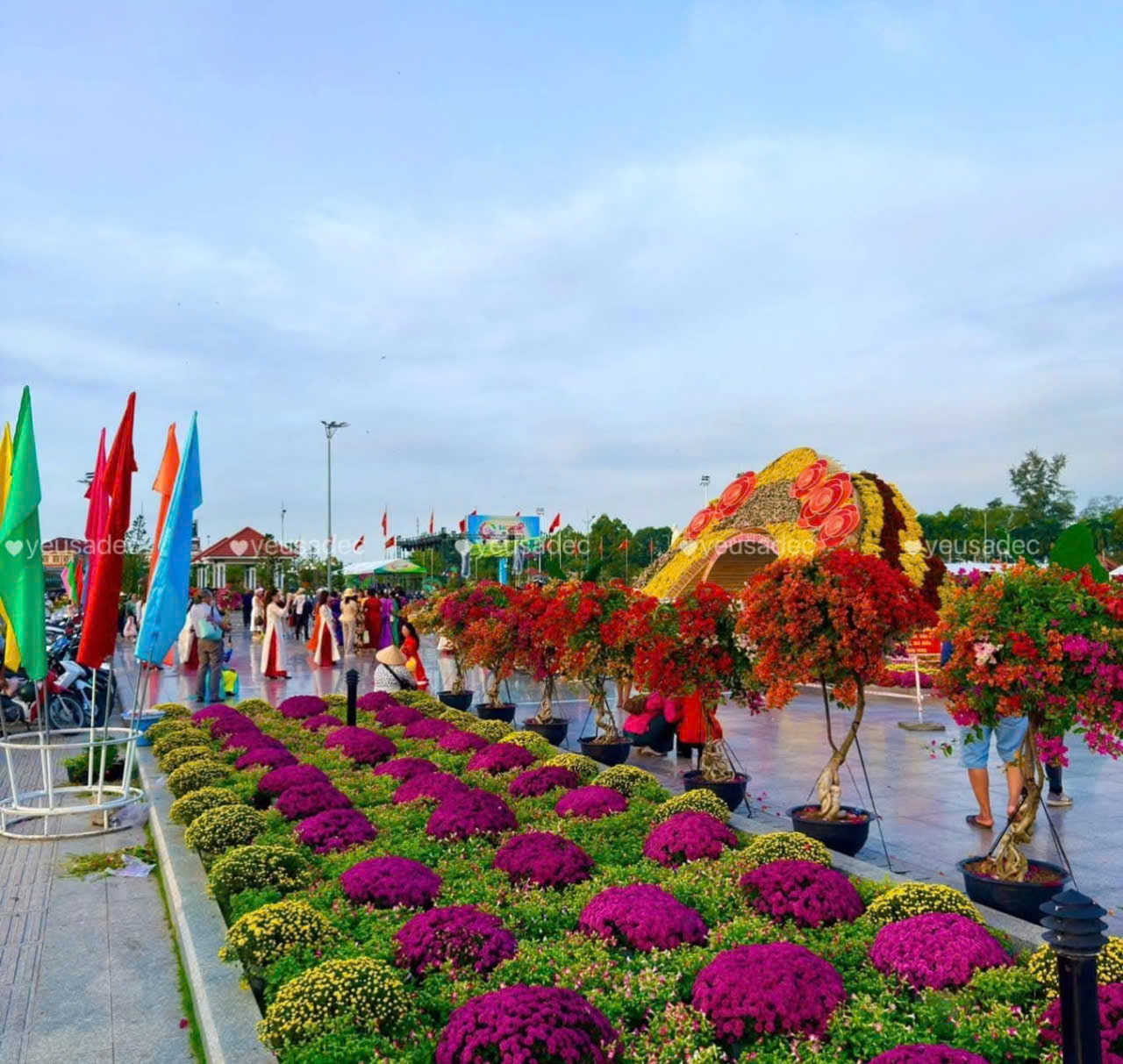 Kỷ lục Bản đồ Việt Nam từ 1 . 000 Giống hoa kiểng tại Festival Sa Đéc lần 2 - Ảnh 6. Kỷ lục Bản đồ Việt Nam từ 1 . 000 Giống hoa kiểng tại Festival Sa Đéc lần 2 - Ảnh 6.