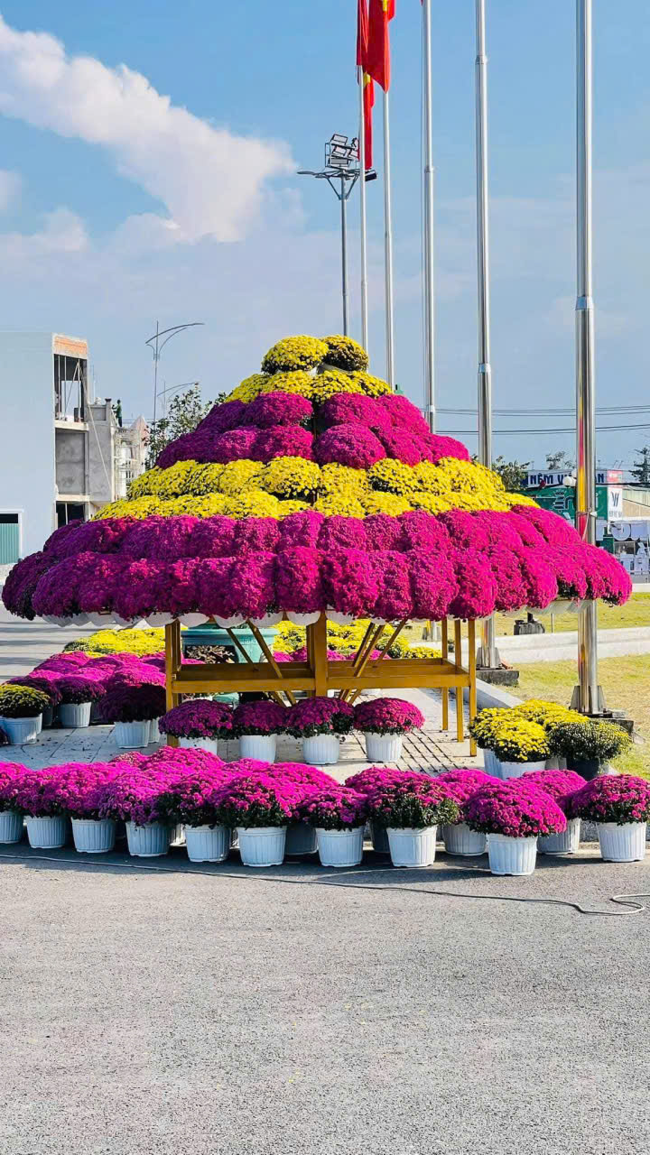 Kỷ lục Bản đồ Việt Nam từ 1 . 000 Giống hoa kiểng tại Festival Sa Đéc lần 2 - Ảnh 8. Kỷ lục Bản đồ Việt Nam từ 1 . 000 Giống hoa kiểng tại Festival Sa Đéc lần 2 - Ảnh 8.