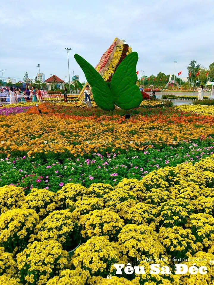 Kỷ lục Bản đồ Việt Nam từ 1 . 000 Giống hoa kiểng tại Festival Sa Đéc lần 2 - Ảnh 9. Kỷ lục Bản đồ Việt Nam từ 1 . 000 Giống hoa kiểng tại Festival Sa Đéc lần 2 - Ảnh 9.